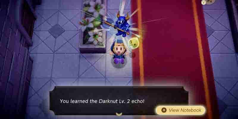Zelda EOW: 10 лучших отголосков во всем Игра