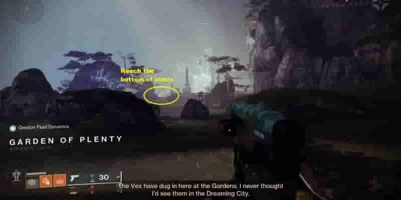 Destiny 2 Season Of The Wish: все локации Starcat