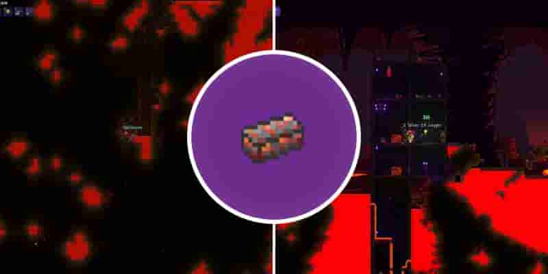 Лучшие семена Terraria