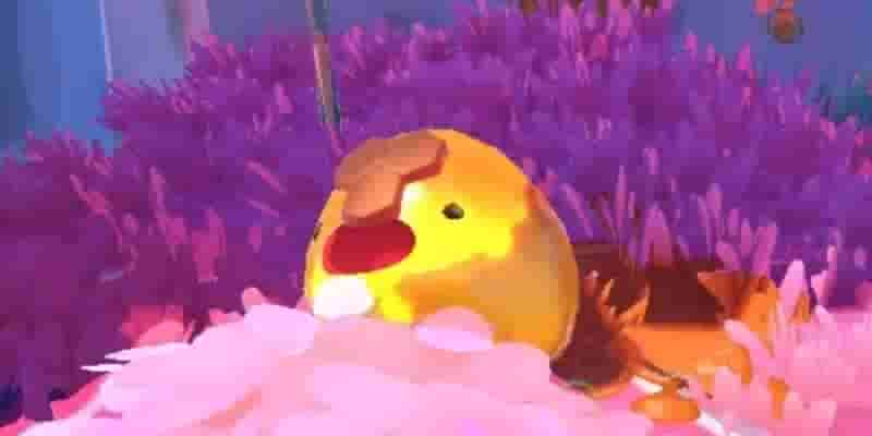 Slime Rancher 2: Основное гайд по слаймам