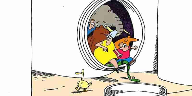 10 лучших Коллекции Far Side, рейтинг