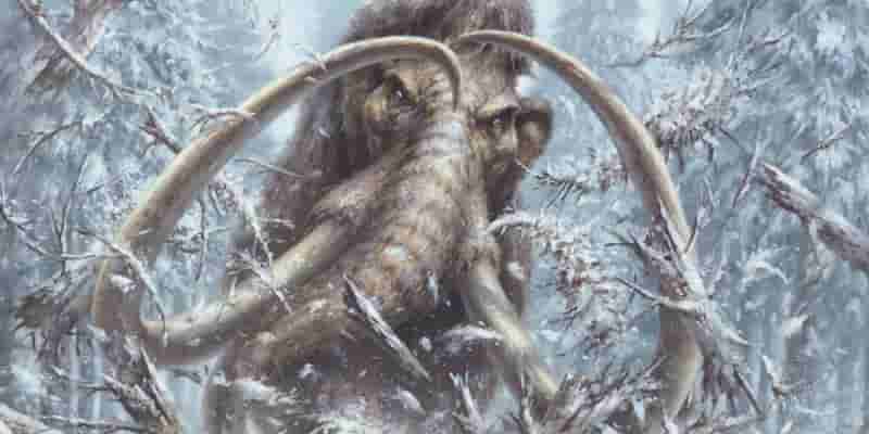 10 крупнейших изменений класса друидов в D&D 5e 2024