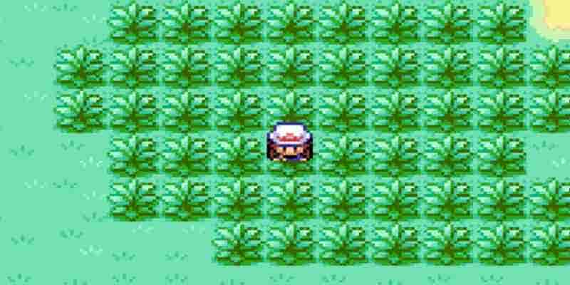 Вещи в ретро-играх Pokémon, которые никто не пропускает