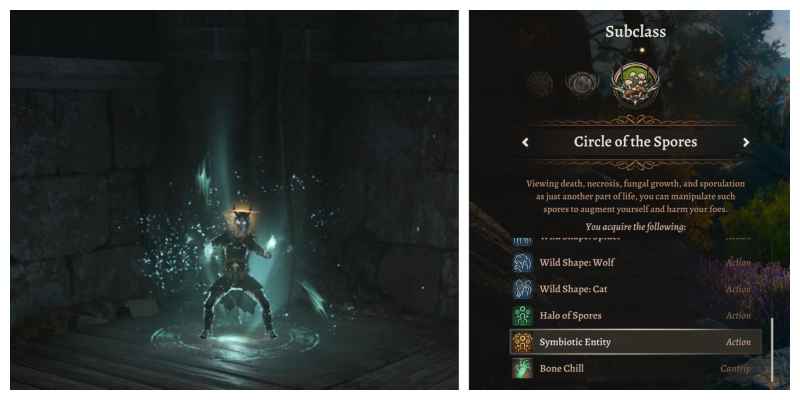 Baldur's Gate 3: 10 недооцененных подклассов