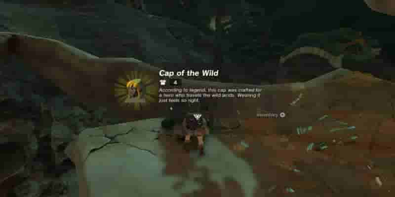 Tears Of The Kingdom - Armor Of The Wild Location
