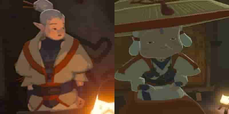 10 вещей, которые вы не знали о шейхе в Zelda