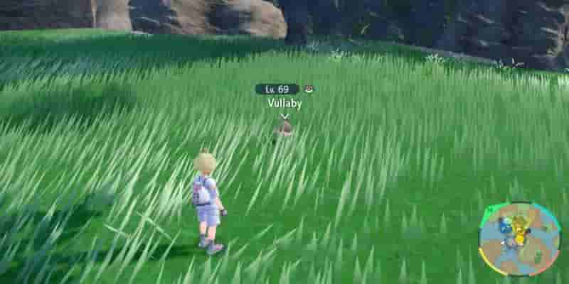 Pokemon Scarlet & Violet: Как получить и развить Vullaby