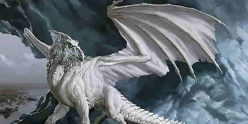 20 заклинаний с самым большим уроном в Dungeons & Dragons