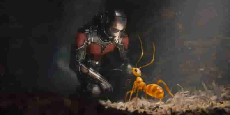 Как смотреть сагу Infinity Saga MCU в хронологическом порядке