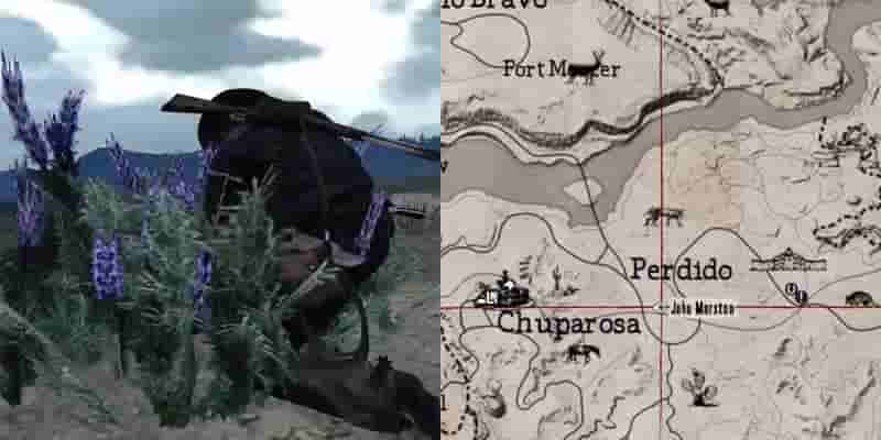 Red Dead Redemption: Полное гайд по выживанию