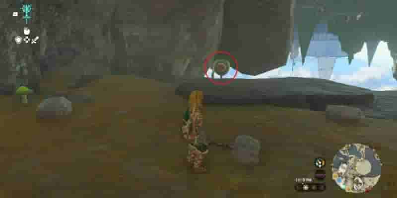 Tears Of The Kingdom: Все Korok Seeds on Great Sky Island