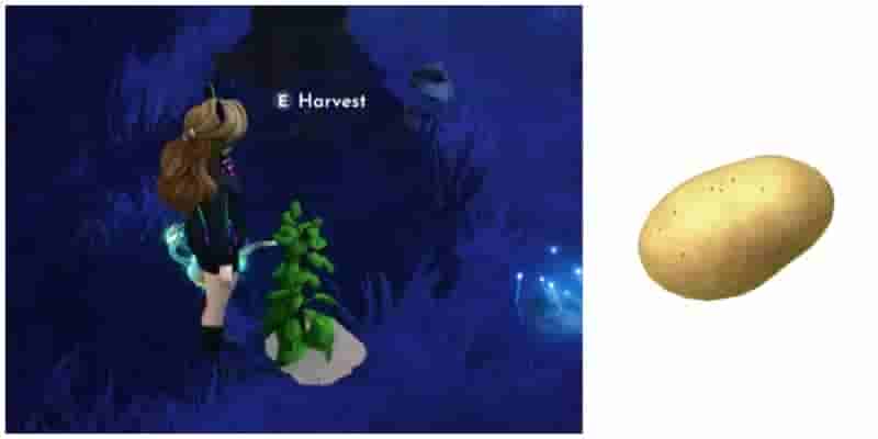 Рейтинг самых продаваемых культур в Disney Dreamlight Valley