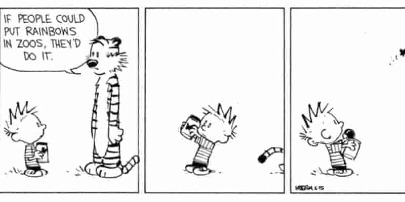 15 Times Calvin & Hobbes Разбили наши сердца