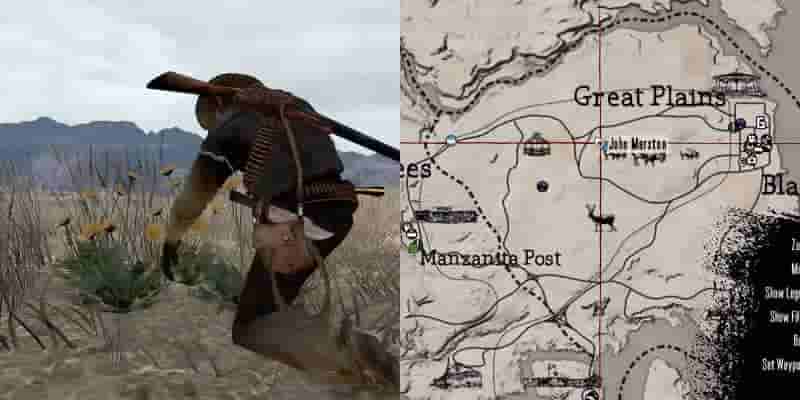 Red Dead Redemption: Полное гайд по выживанию