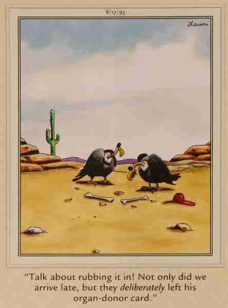 10 лучших комиксов The Far Side с участием стервятников, рейтинг