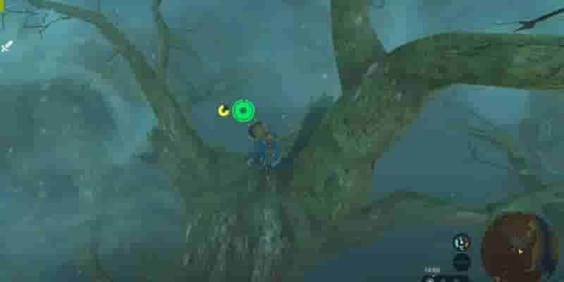 Tears Of The Kingdom: A Pretty Stone And Five Golden Apples Прохождение