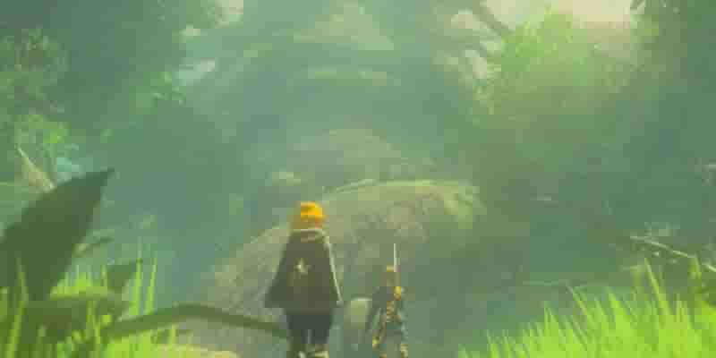 6 частей легенды о Zelda: Tears Of The Kingdom Lore, которые игроки могут легко пропустить