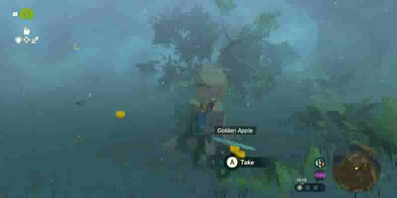 Tears Of The Kingdom: A Pretty Stone And Five Golden Apples Прохождение