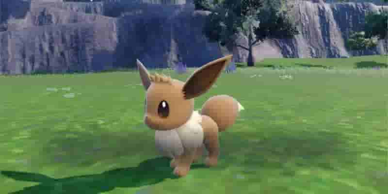 Где найти все ивилюции в Pok&eacute;mon Scarlet и Violet