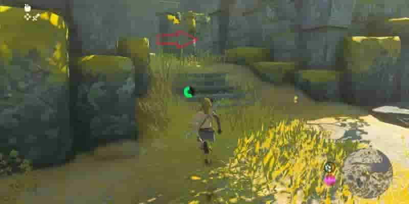 Tears Of The Kingdom: Все Korok Seeds on Great Sky Island