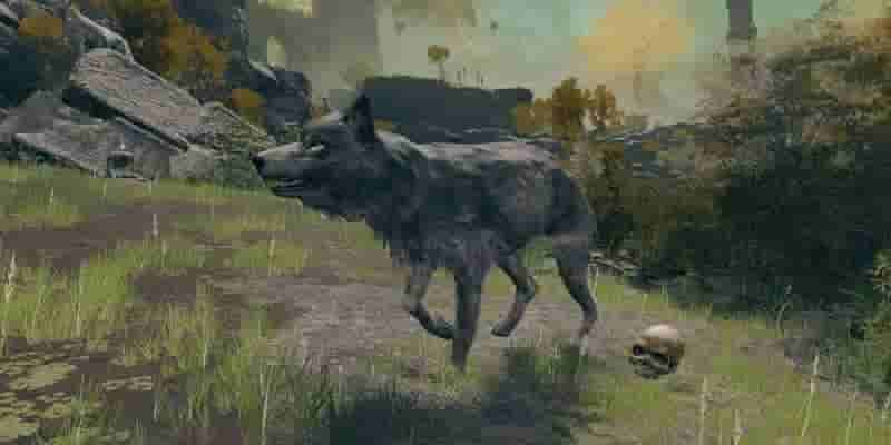 Elden Ring: Best Spirit Ashes, рейтинг