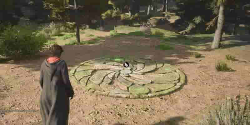Hogwarts Legacy : 10 лучших интерактивных предметов