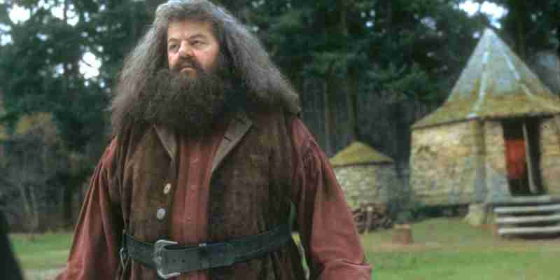  10 Best gogwarts clases в Гарри Поттере, ранжированном 