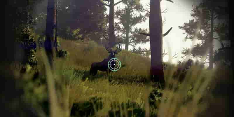 Лучшие MMO, в которые действительно интересно играть в одиночку