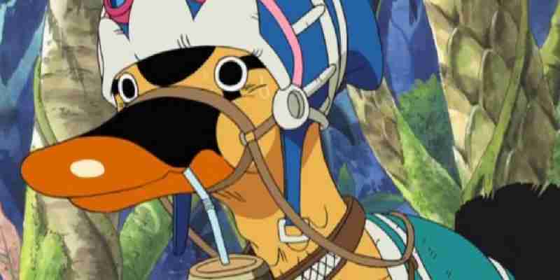 10 лучших спутников для путешествий пиратов Соломенной Шляпы в One Piece, рейтинг