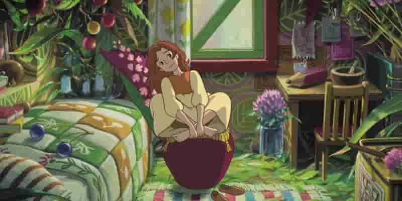 Студия Ghibli Movies Not Режиссер Хаяо Миядзаки