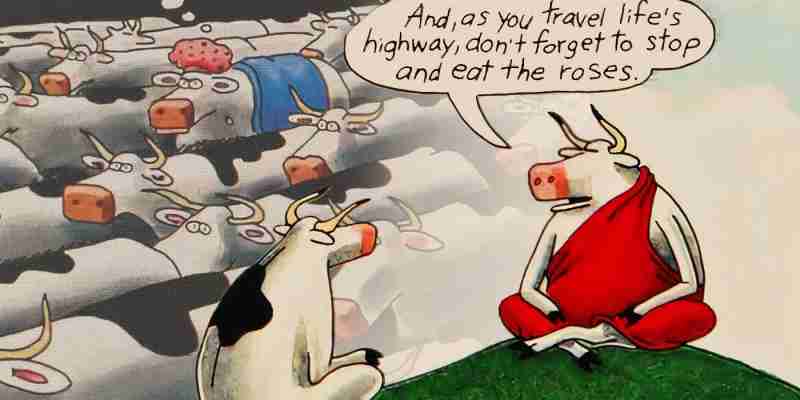 10 самых странных комиксов Far Side о людях и животных
