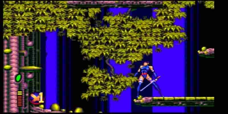 10 лучших тайтлов для Sega Genesis, выпущенных в сумеречные годы