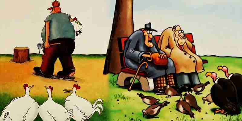 10 самых странных комиксов Far Side о людях и животных
