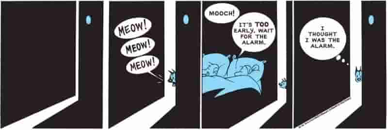 Веселые комиксы MUTTS, передающие то, что фанатам нравится в этом стрипе