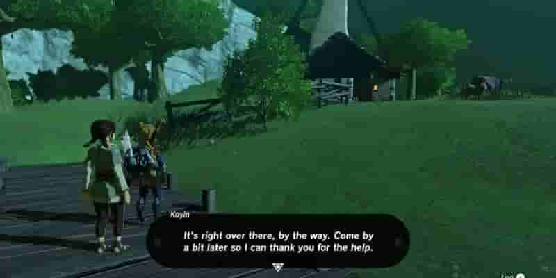 Tears Of The Kingdom: A Letter To Koyin Quest Прохождение
