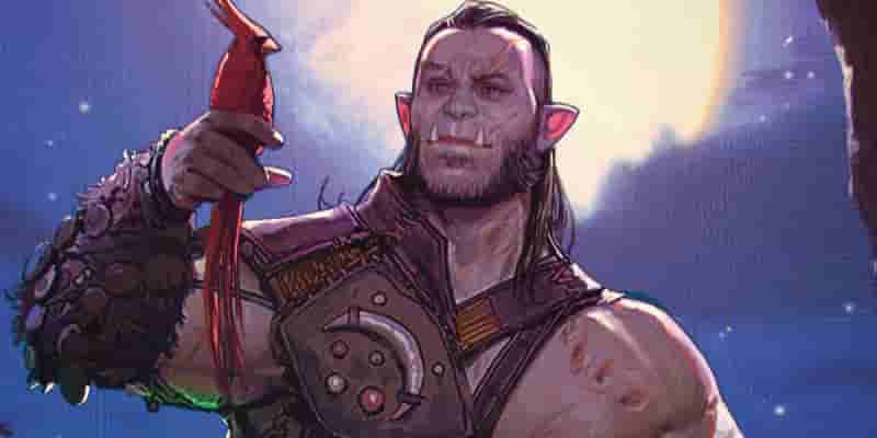 10 крупнейших изменений класса друида в D&D 5e 2024