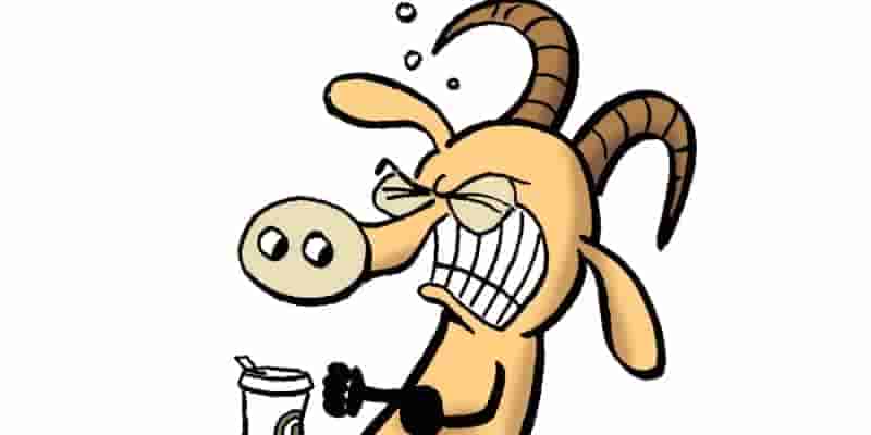 Лучшие повторяющиеся персонажи в комиксах Pearls Before Swine