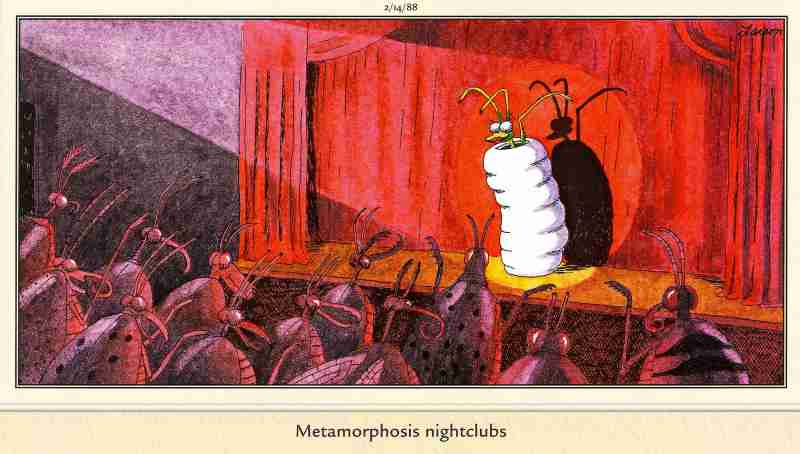 10 лучших комиксов The Far Side с участием насекомых, рейтинг