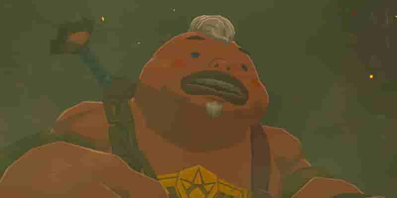 10 персонажей Zelda, которые должны иметь свою собственную игру после принцессы в Echoes of Wisdom