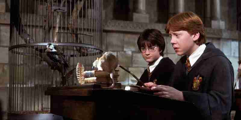 15 Наиболее полезные чары Harry Potter во франшизе