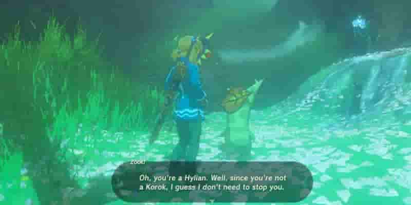 The Legend Of Zelda: Tears Of The Kingdom - Прохождение игры