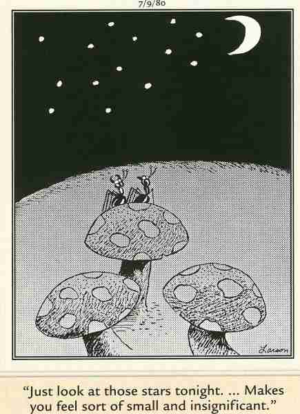 10 лучших комиксов The Far Side с участием насекомых, рейтинг
