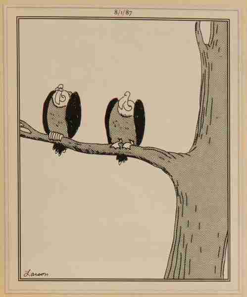10 лучших комиксов The Far Side с участием стервятников, рейтинг