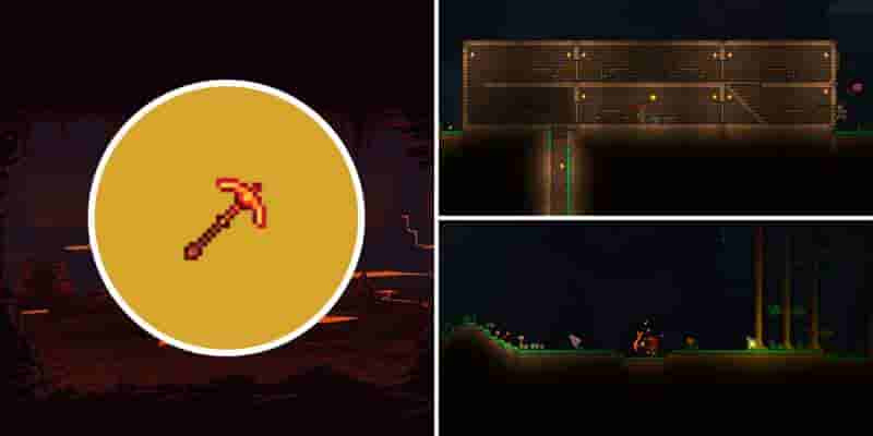 Лучшие семена Terraria
