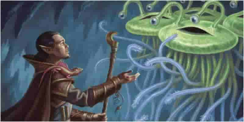 D&D: Как создать идеального волшебника дикой магии