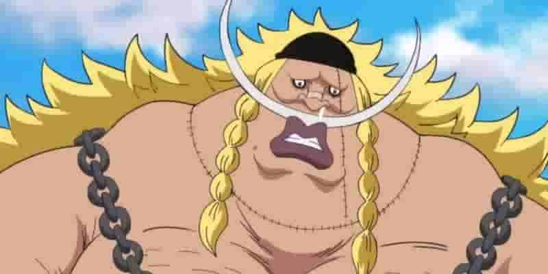 One Piece: Каждый военачальник морей, рейтинг