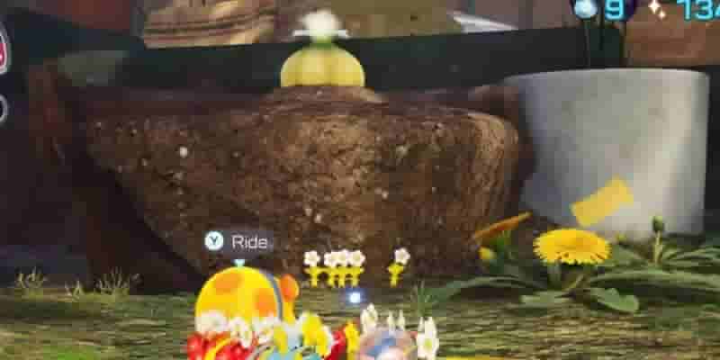 Pikmin 4: Все Flarlic Locations
