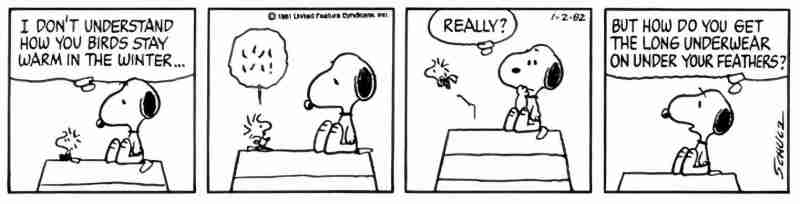 10 лучших комиксов Woodstock Peanuts, рейтинг