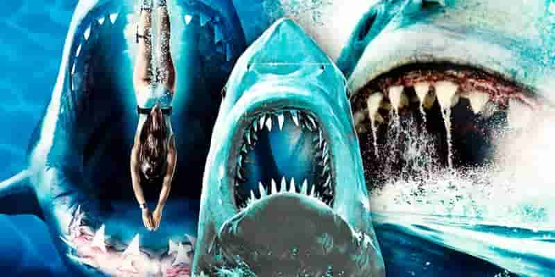 The Meg 2 Trailer Отсылка к самым культовым фильмам об акулах в кинематографе
