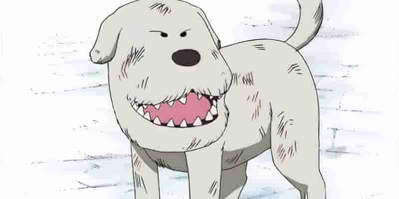 Все, что было предсказано в One Piece